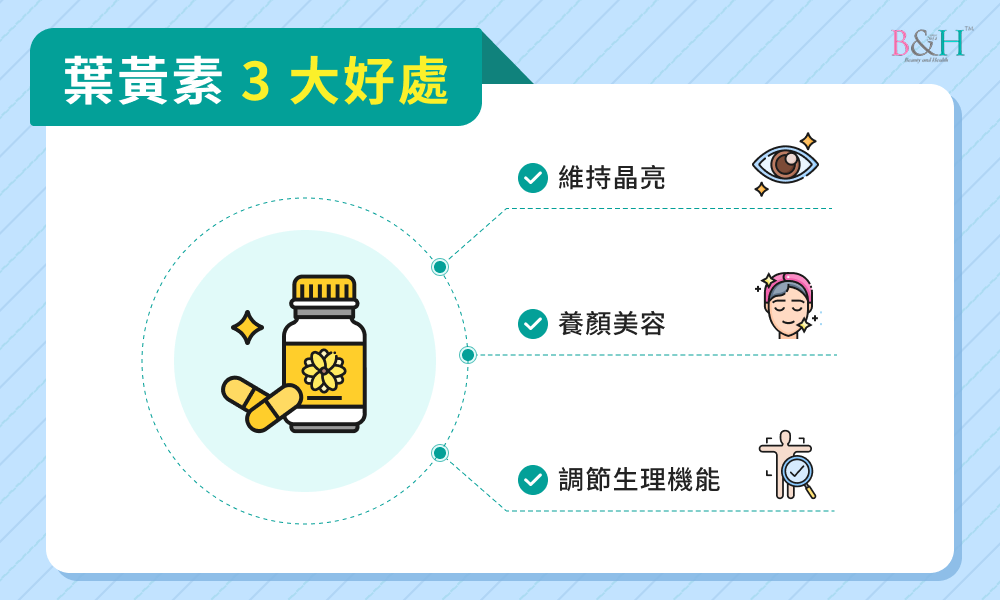 葉黃素 3 大好處
