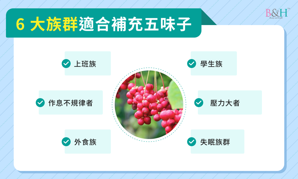 6 大族群適合補充五味子