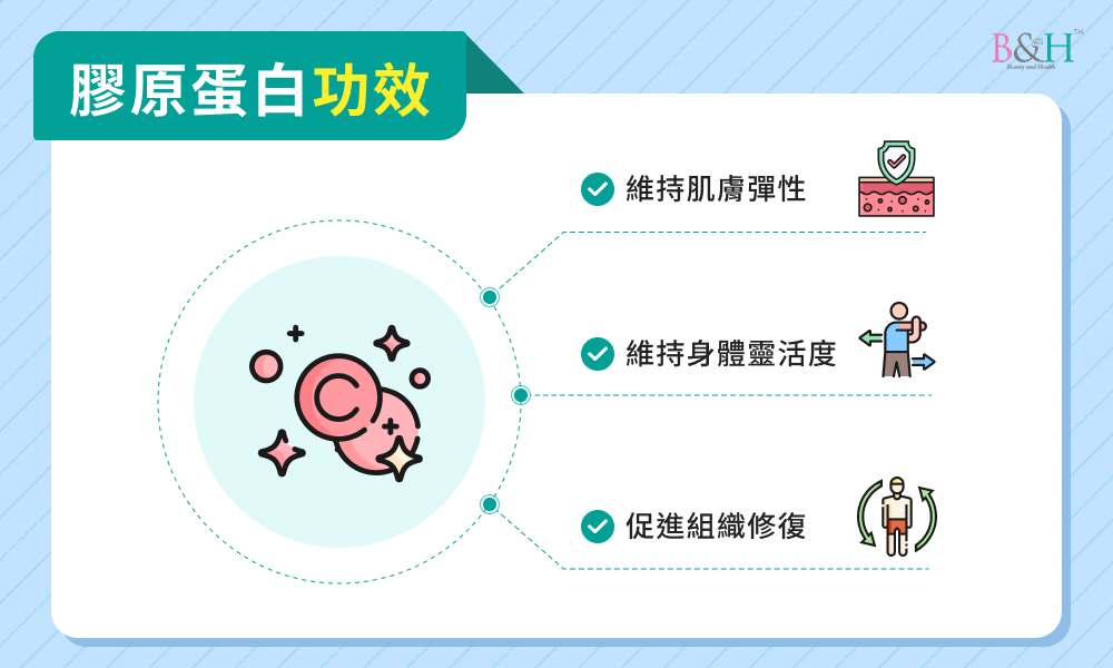 膠原蛋白功效
